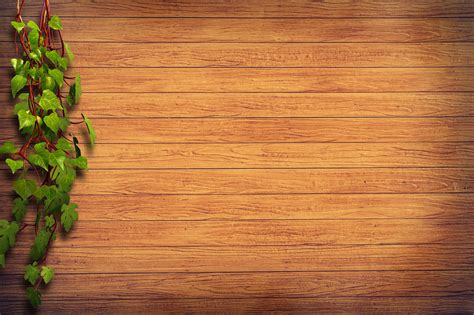 diverse wall pictures pexels  stock
