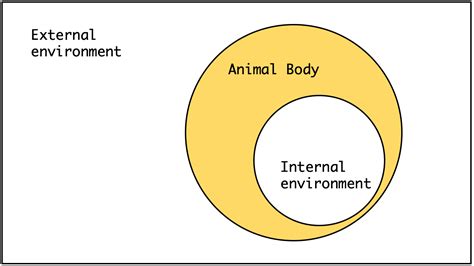 Chapter 2 Animal And Environment Animal Environmental Science