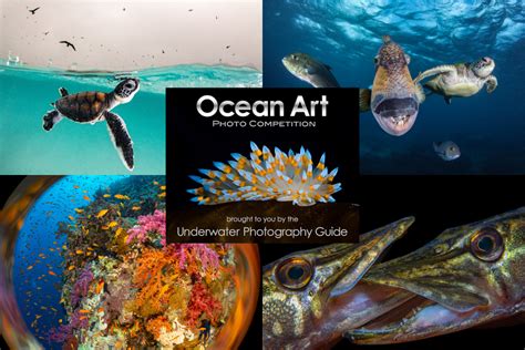 2023 Ocean Art Underwater Photo Competition Announced