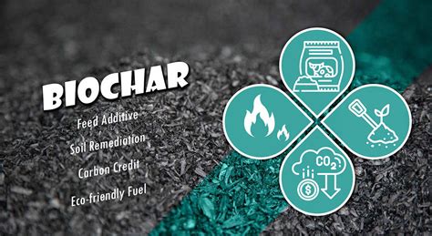 Mobile Biochar Machine - Easy to Install and Operate