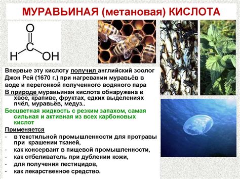 Карбоновые кислоты - презентация онлайн