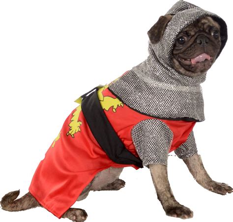 25 Best Halloween Costumes for Pugs That Are So Cute!