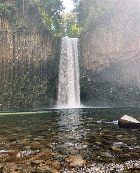 Photos of Abiqua Falls Trail - Oregon | AllTrails