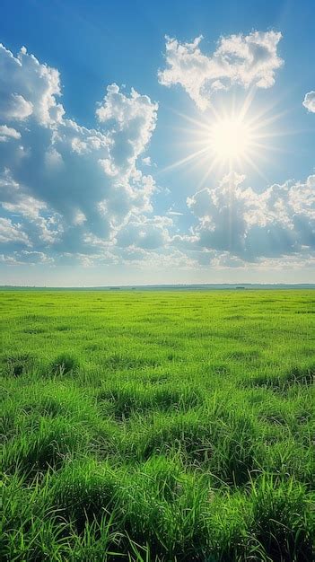 Premium Photo Green Grass Field Under Blue Sky With White Clouds Landscape