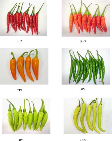 Figure 1 From Optimization And Determination Of Polyphenol Oxidase And