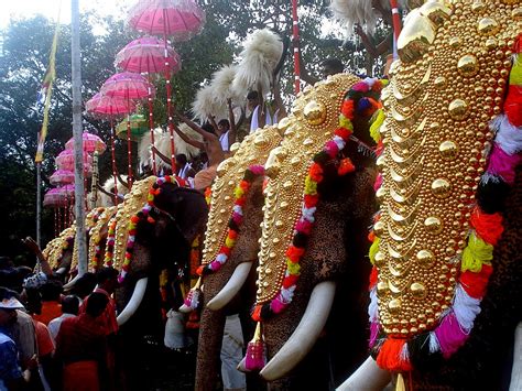 Thrissur Pooram 2013 Festival of Kerala : Thrissur Pooram | Festival Chaska