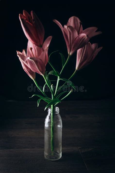 Ramalhete De Flores Cor De Rosa Do L Rio Nos Raios De Luz Em Um Fundo