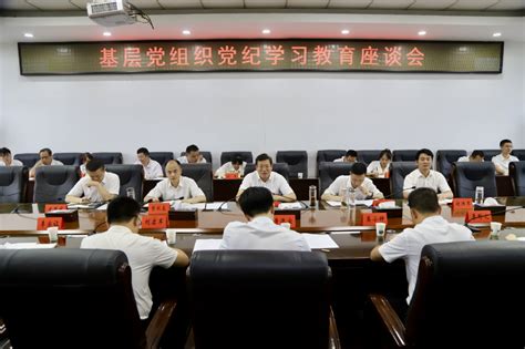 华学健参加基层党组织党纪学习教育座谈会邵阳新闻网