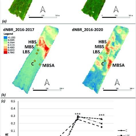 A Sentinel 2 Natural Color Maps Rgb2017 And Rgb2020 And B