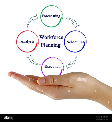 Workforce Planning Process Stock Photo - Alamy