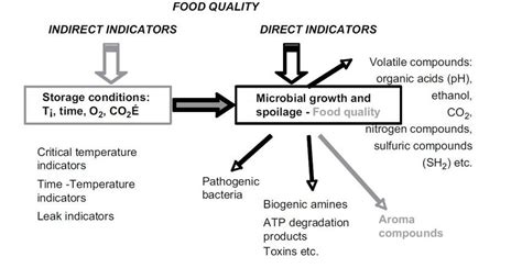 Food Quality Indicators Main Indirect Indicators And Trend Towards