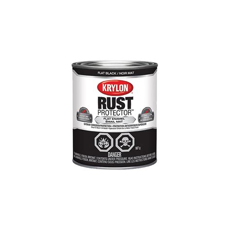 Peinture Antirouille Krylon Rust Protector Couleur Noir Fini Mat Ml