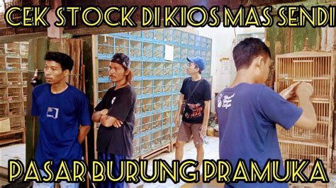 Cek Stock Di Kios Mas Sendi Pasbur Pramuka Youtube