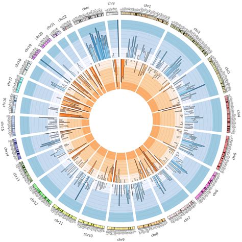 Tutorial Images CIRCOS Circular Genome Data Visualization