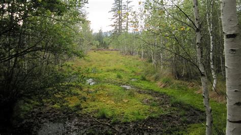 Wandern Grenzgang Moldauquelle Und Siebensteinkopf Tour 172929