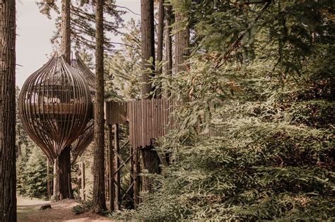 A striking, memorable & exclusive venue - Redwoods Treehouse