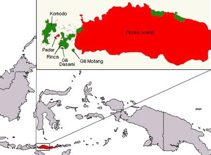 Komodo Dragon Characteristics, Facts & Habitat | Study.com