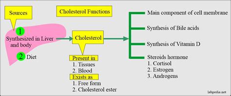 Cholesterol (Serum Cholesterol) – Labpedia.net