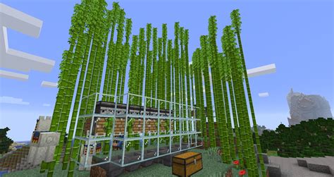 Just released a super easy bamboo farm tutorial, if you want to build ...