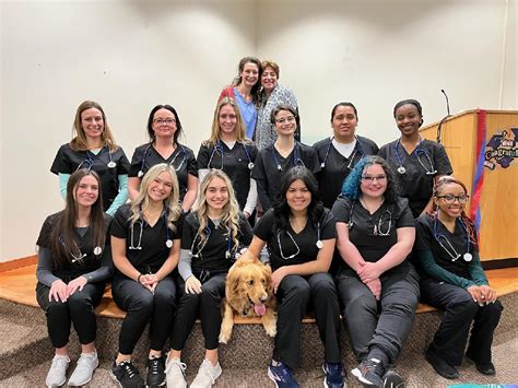 Veterinary Assistant Brookdale Community College Program