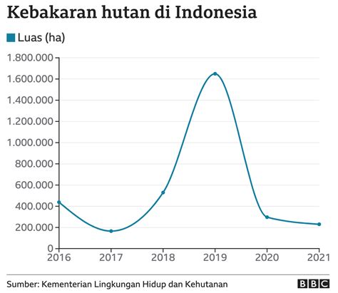 Fakta Kebakaran Hutan Di Indonesia - Homecare24