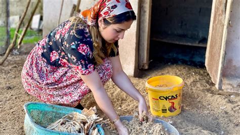 Iran Village Lifestyle In Autumn Daily Routine Village Life In Iran