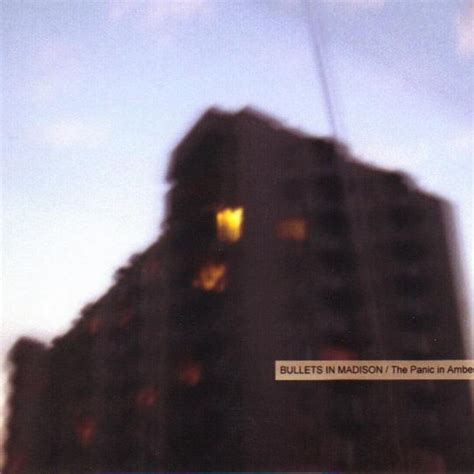 After the Trigger, Before She Fell | Bullets in Madison