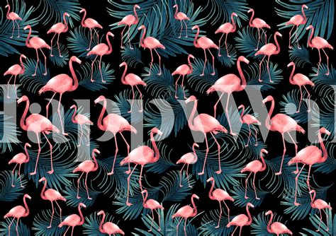 Buy Summer Flamingo Palm Night A Wallpaper At Happywall