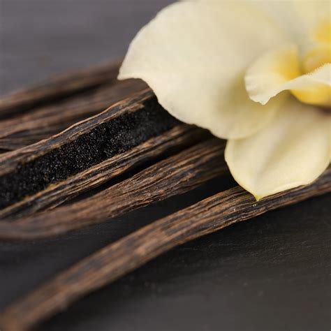 Vanilla Musk Fragrance Oil 773 - Wholesale Supplies Plus