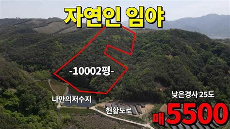 마지막 막장임야매매~나만의 저수지를 품은~자연인 할수있는 임야매물~전기유 낮은경사도 임업인 임업후계자등록가능 매5500만원 경북