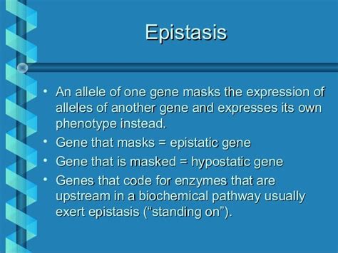 Gene interaction ns-w12