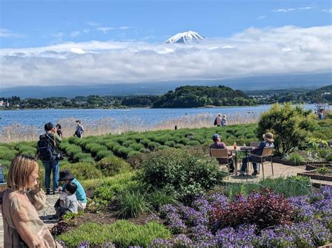 Day Hrs Mt Fuji Lake Kawaguchiko Tour With Eng Driver