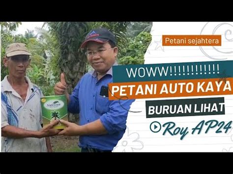 SOLUSI ANTI GAGAL PANEN PETANI WAJIB TAU Petani Pupukorganik Padi