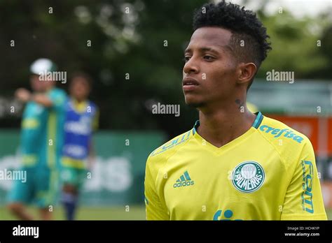 SÃO PAULO SP 08 12 2016 TREINO DO PALMEIRAS Pictured player Tche