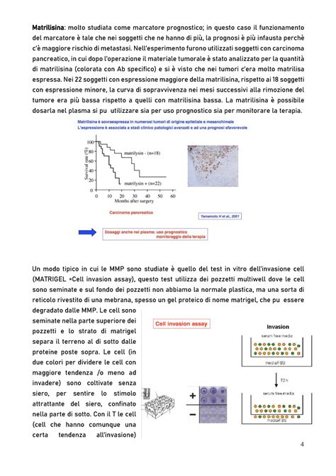 Farmacologia Lezione 5 2 Matrilisina Molto Studiata Come Marcatore