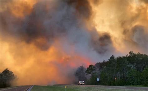 Vídeo Cientos De Personas Evacuadas Por Los Incendios Forestales En