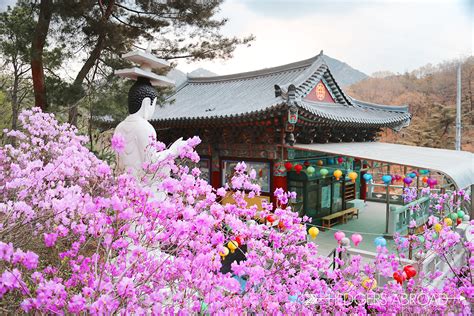 Summer Getaway at the Anyang Art Park - Hedgers Abroad