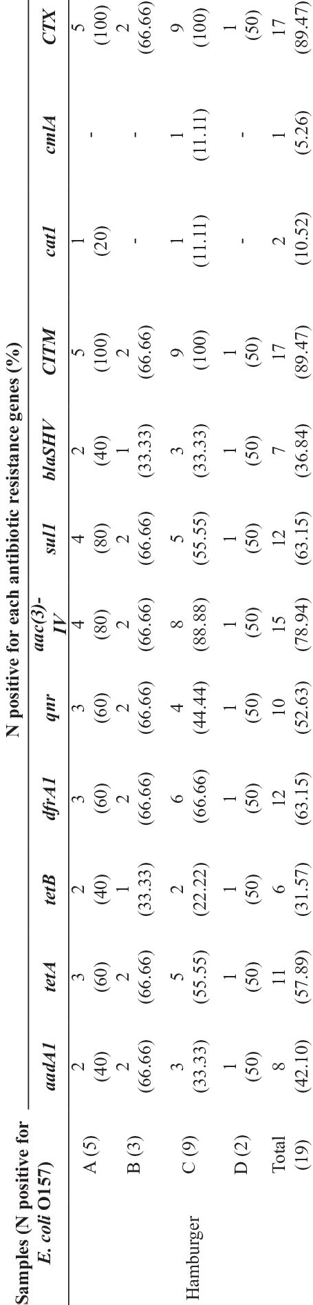 Profile Of Antibiotic Resistance Genes Amongst The E Coli O157