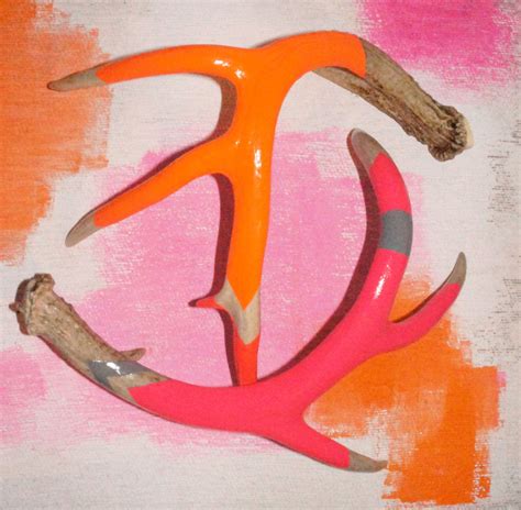 Neon Pink And Orange Painted Antlers Ntm My Sister Designs And Creates