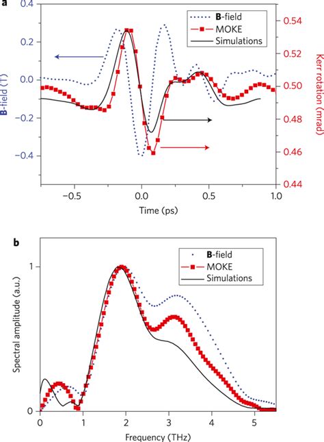 Magnetization Dynamics Triggered By Strong Nearly Single Cycle Thz