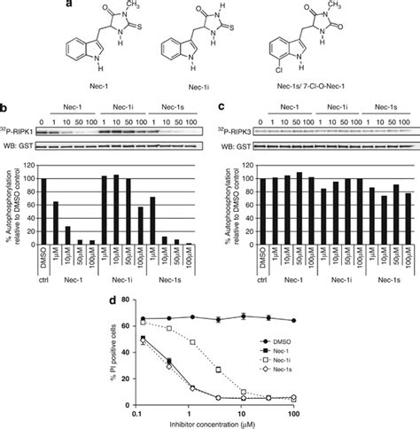 Activity Of Nec 1 Nec 1i And Nec 1s In An In Vitro Ripk Kinase Assay