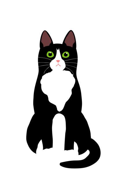 Tuxedo Cat Cartoon - Tuxedo Cat Cartoon Vector Eps Clipart Clip ...