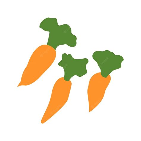 premium vector  carrots  leaves  bright color vector drawing