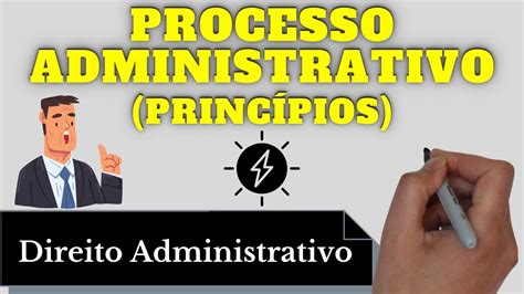 Princípios do Processo Administrativo Direito Administrativo Resumo