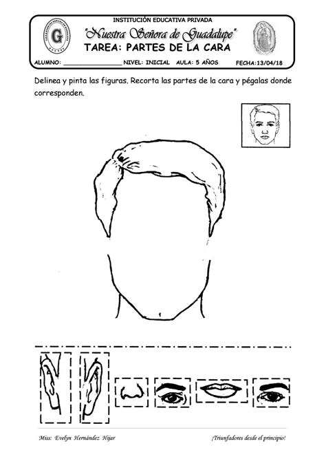 Tarea Partes De La Cara By Evelynabejitas Issuu