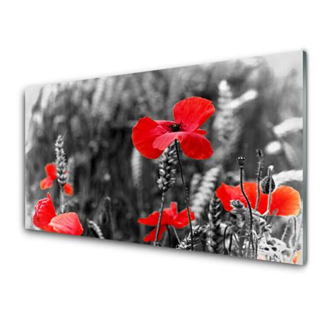 Cr Dence De Cuisine En Verre Coquelicots Floral Rouge Gris Tulup Fr