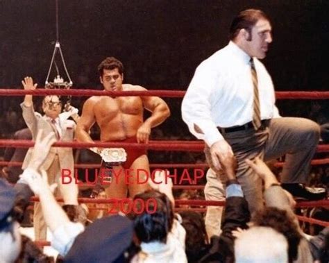 Pedro Morales Bruno Sammartino Wrestler X Wrestling Photo Wwwf