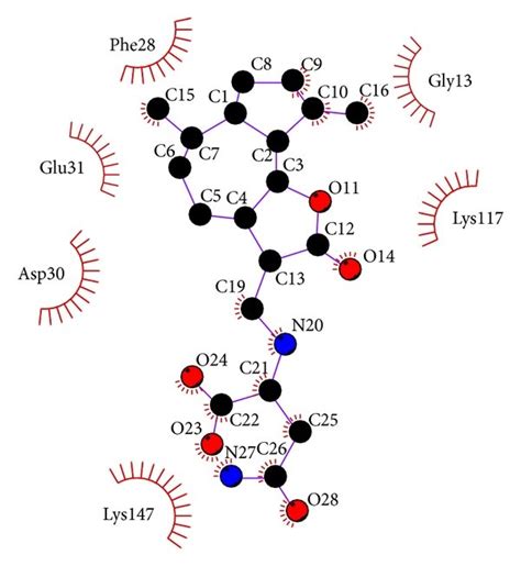 Ligplot Illustrates The Protein Ligand Interactions A Saussureamine Download Scientific