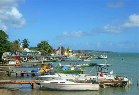 Port De Pêche Et De Plaisance Sainte Rose Guadeloupe Tourisme