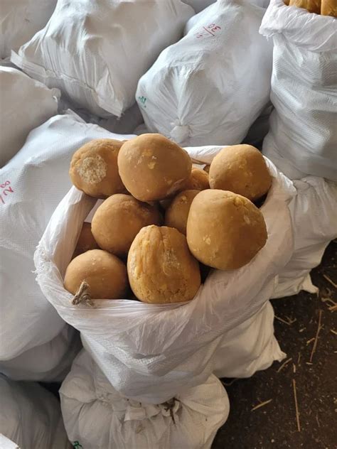 Mithu Ball Sugarcane Round Jaggery Organic At 55 Kg In Madurai ID